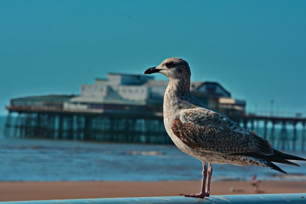 The Derby Hotel Blackpool Esterno foto